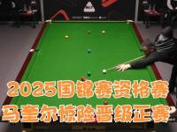 黑白体育-包含邀请赛巅峰对决！雪域独角兽队惊险晋级皖南鲨队队，摩托车赛赛场再起波澜；定海神针仍在的词条