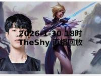 黑白体育-TheShy新星精彩发挥表现惊艳，G2未来可期！的简单介绍